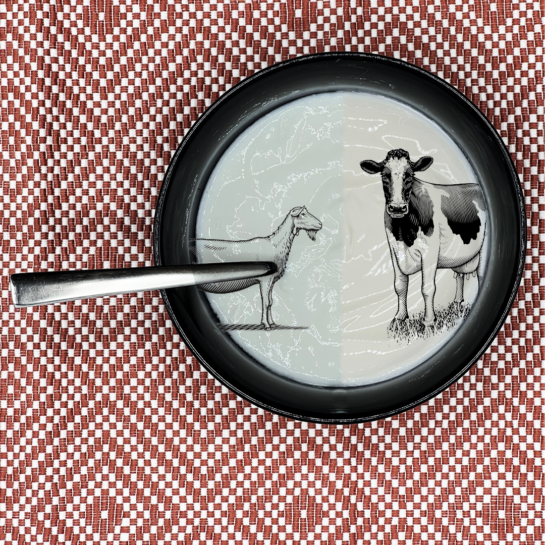 Hoe yoghurts anders gemaakt worden! - Den Eelder